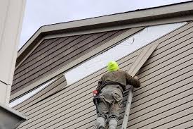 Best Siding Painting and Refinishing  in USA